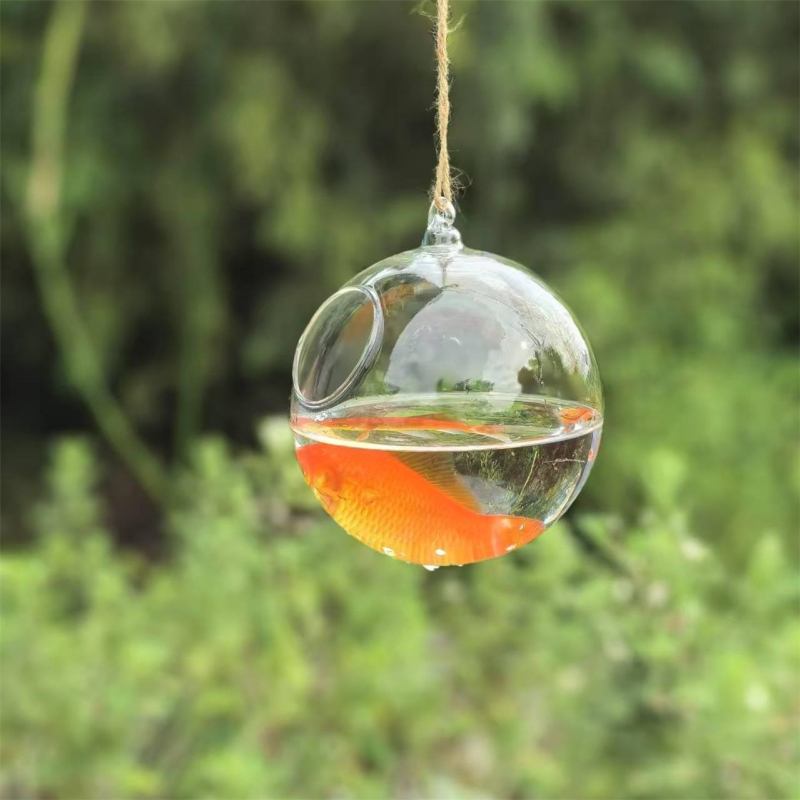 Home Decor Glass - Small Packing Diameter=10cm 12cm 15cm 20cm