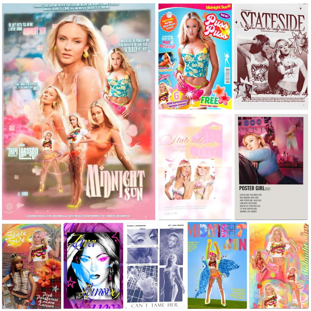 Home Decor Za - Singer Z-Zara L-Larsson Poster HD art,