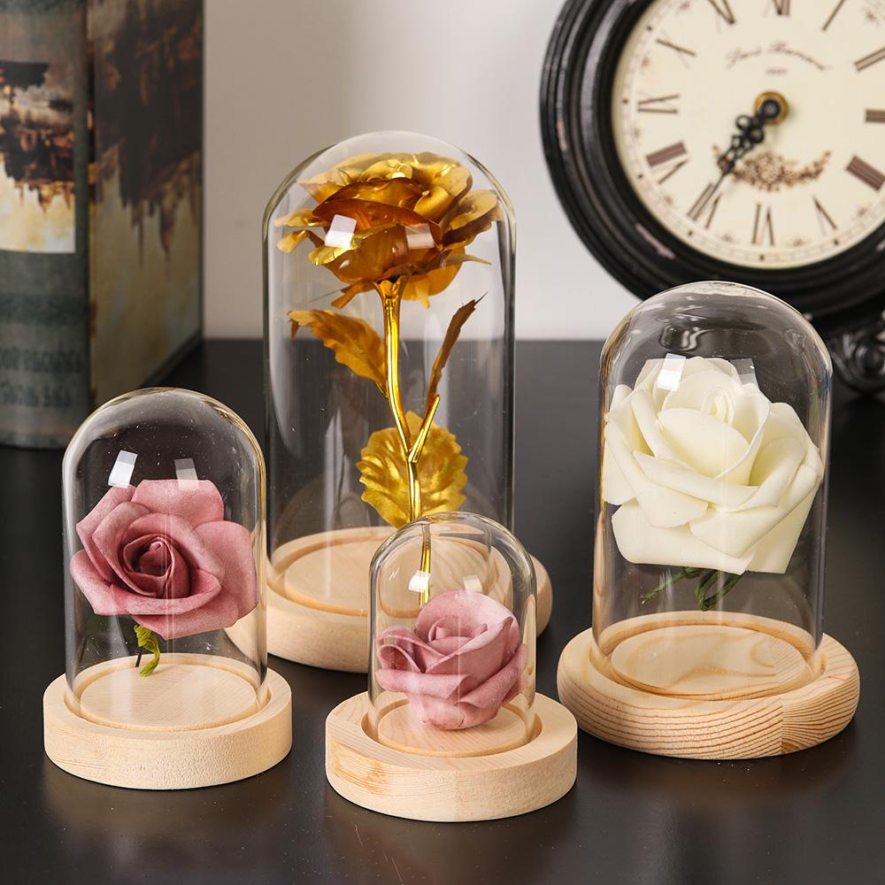 Home Decor Plants Jar Terrariu - Home Decor Glass ulasan dan harga