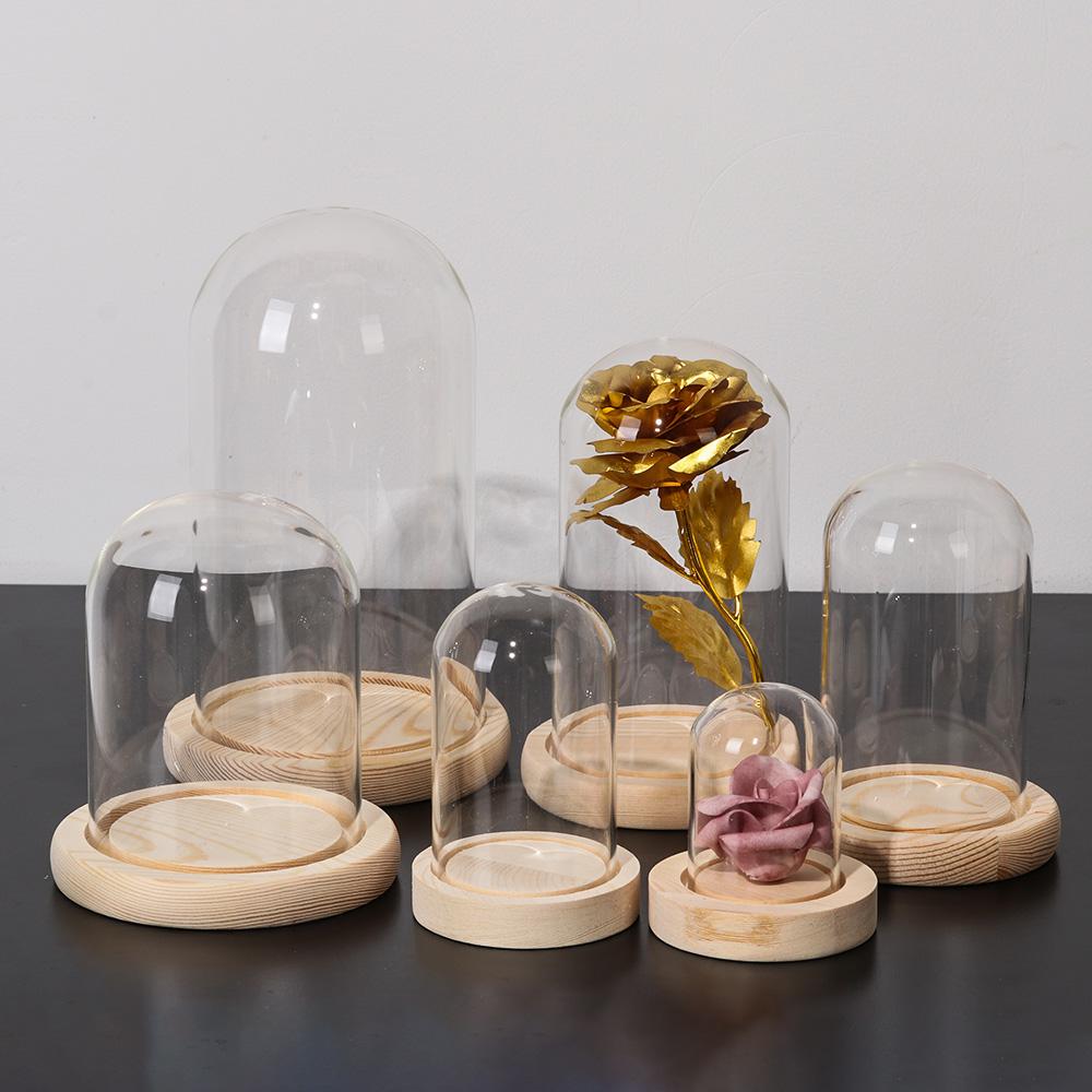 Home Decor Plants Jar Terrariu - Home Decor Glass ulasan dan harga