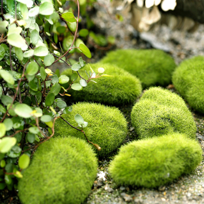 Green Artificial Grass Foam Mo - Home Decor Za ulasan dan harga