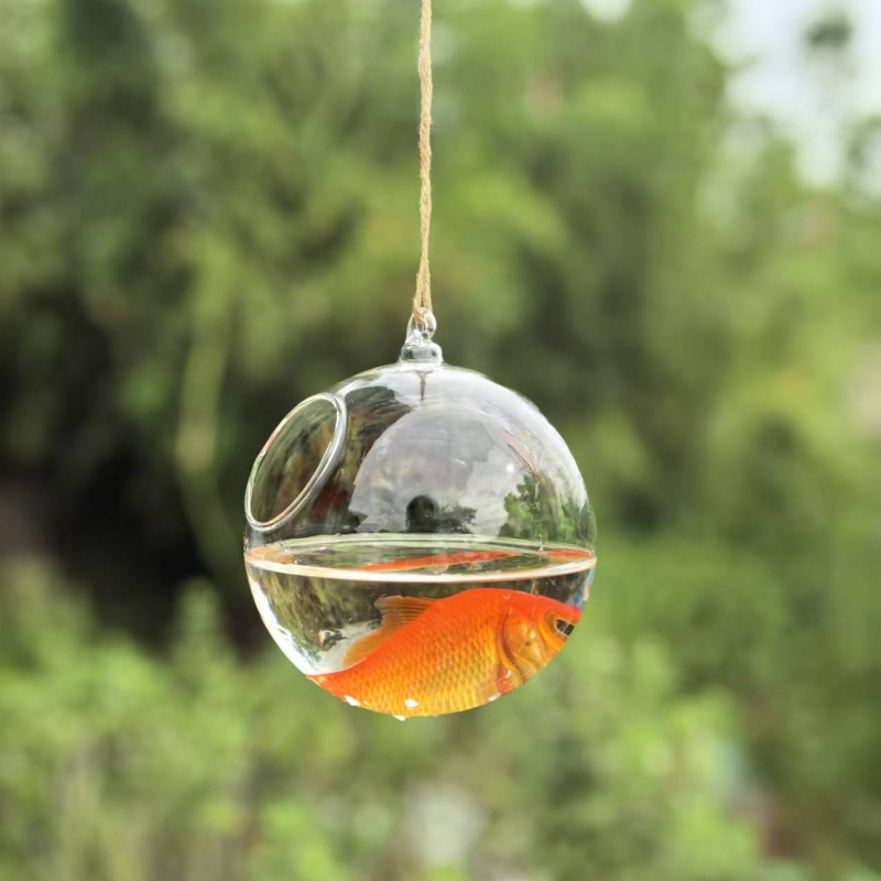 Small Packing Diameter=10cm 12 - Home Decor Glass ulasan dan harga