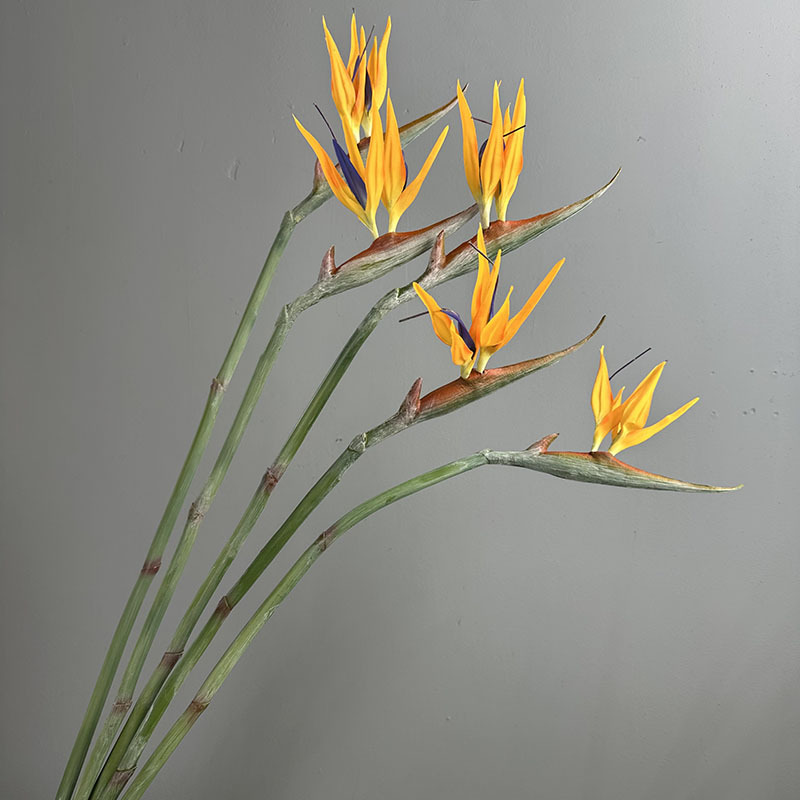 4pcs 97cm Artificial Paradise  - Home Decor Orange ulasan dan harga