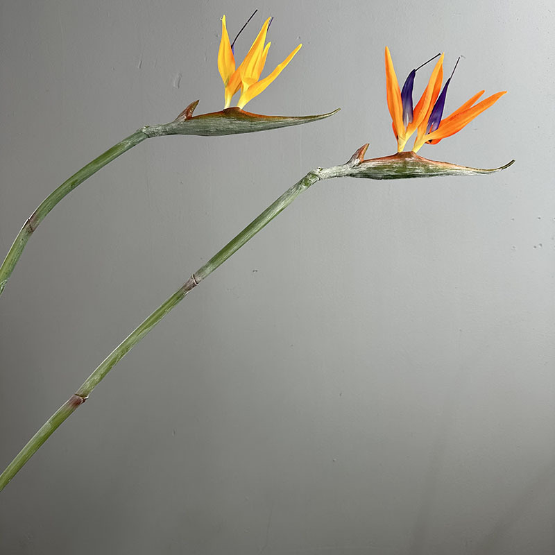 4pcs 97cm Artificial Paradise  - Home Decor Orange ulasan dan harga
